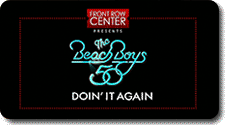 The Beach Boys: Doin' It Again