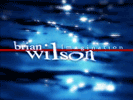 Brian Wilson Imagination